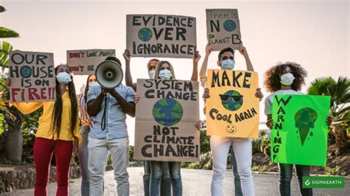 Discoveries And Insights For Activists And Changemakers