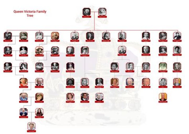 Exploring Cardi B's Maternal Lineage: Where Did Her Mother Originate?