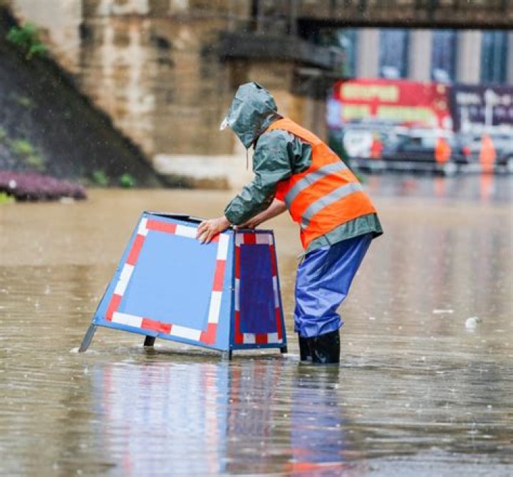 Flood Cleaning Services Near Me Bozeman Mt
