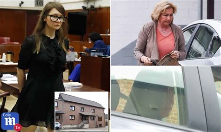 From Anna Delvey's Friend To Fraud Advocate