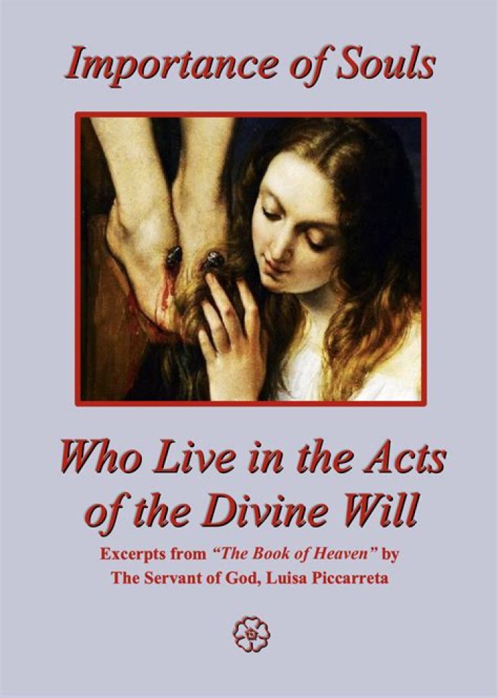 Heaven-Sent Blessings: A Divine Gift