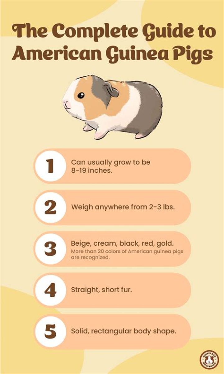 How Common: The Complete Guide To Average Heights