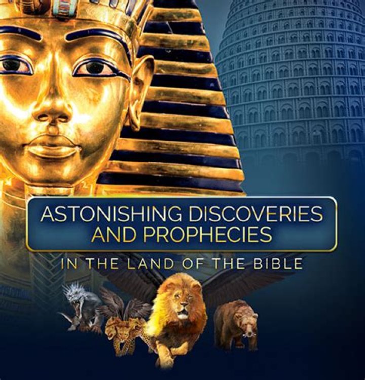 Intimate Discoveries And Astonishing Insights