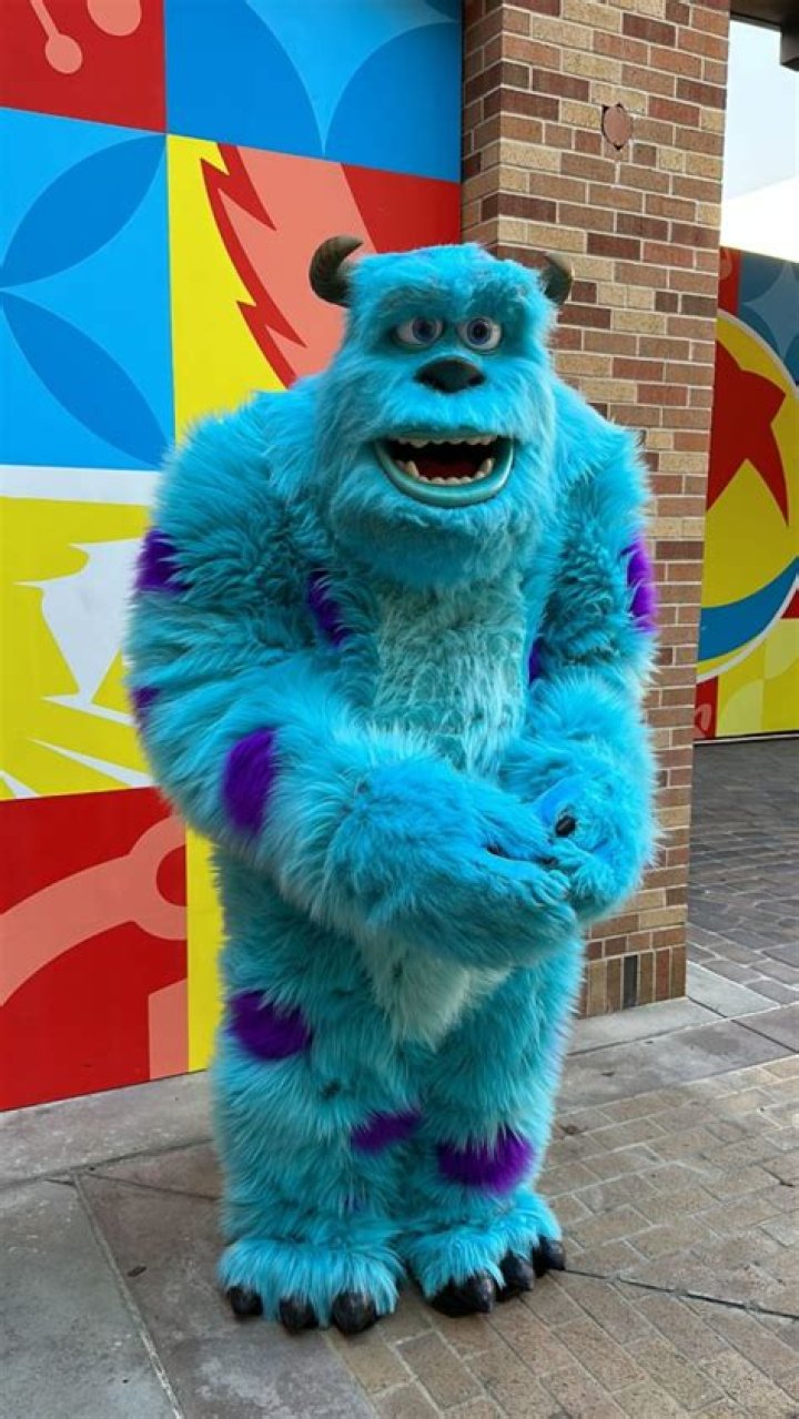 Meet Sulley: The Loveable Purple Monster From Monster's Inc.