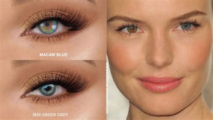 Mesmerizing Female Celebrities With Enchanting Blue Eyes And Alluring Brown Hair