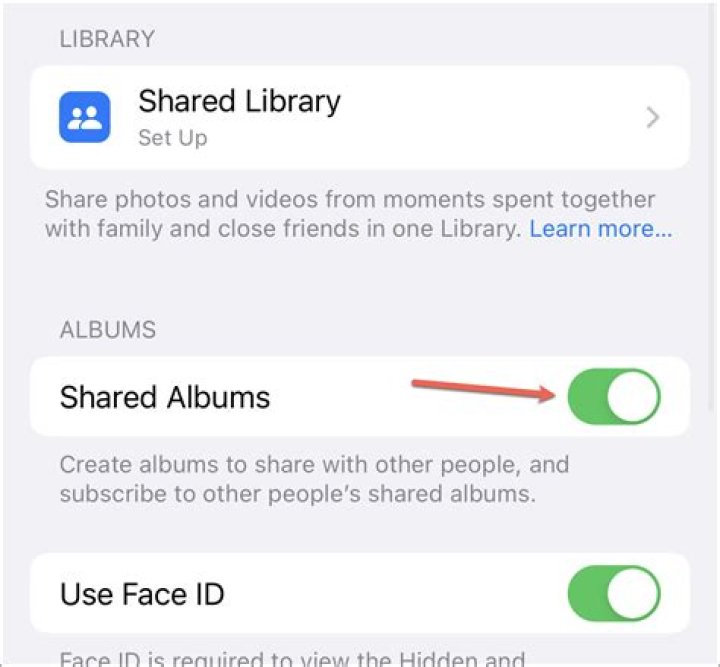 Resolve Your Shared Album Issues | Shared Album Not Showing Up | Expert Guide