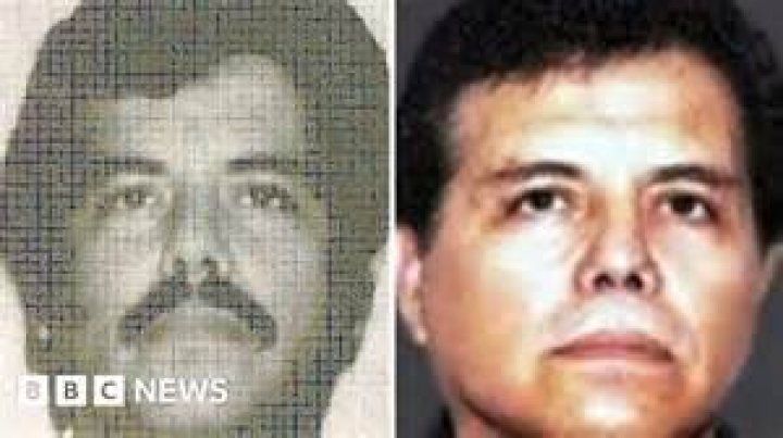 The Notorious Enedina Arellano Flix: A Mexican Drug Lord's Story