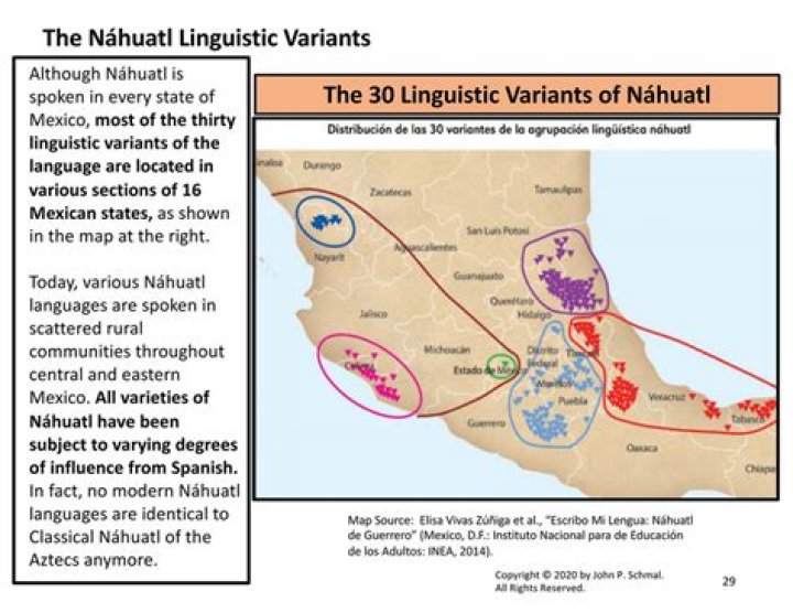 The Profound Influence Of Nahuatl On Salvadoran Language Innovation