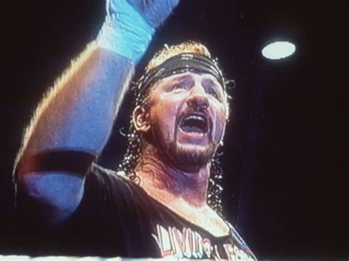The Tragic Demise Of Wrestling Legend: How Did Terry Funk Die?