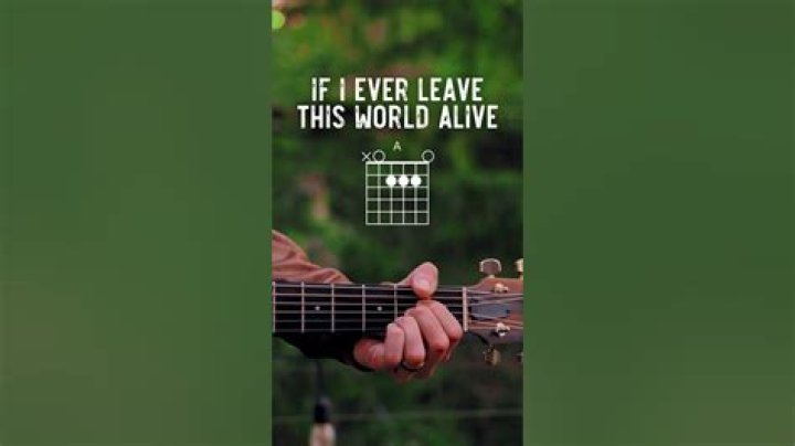 The Ultimate Guide To "If I Ever Leave This World Alive" Song