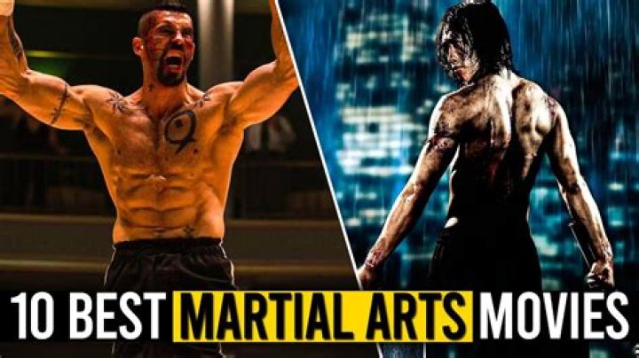 The Ultimate Guide To The Best Martial Art Movies