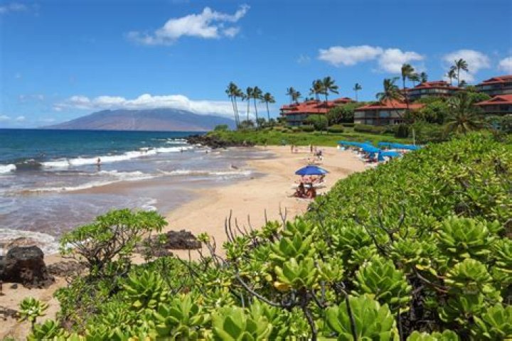 The Ultimate Guide To Wailea Kerr: A Tropical Paradise Awaits
