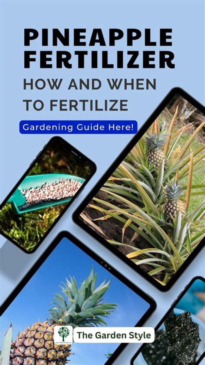 Uncover The Ultimate Fertilizer Formula For Thriving Pineapples