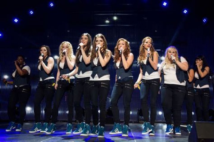 Unforgettable Ensemble: Meet The Cast Of Pitch Perfect