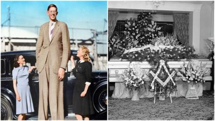 Unraveling The Mystery Of Robert Wadlow's Cause Of Death