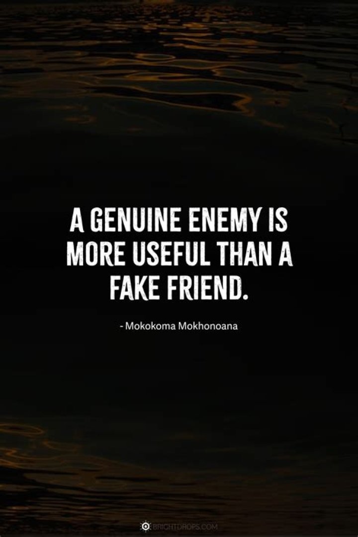 Unveiling The Poignancy: Best Quotes Exposing Fake Friendships