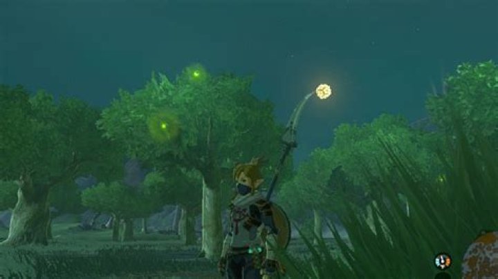 Where to Find Sunset Fireflies in Tears of the Kingdom? ·